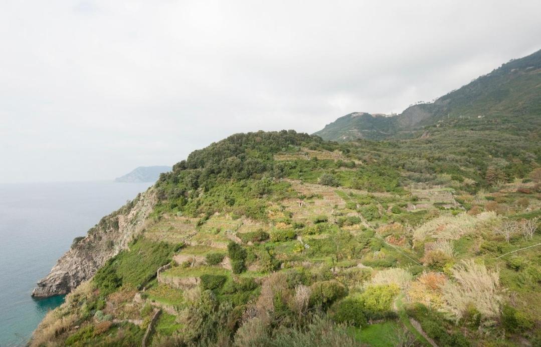 Arbanella Hotel Corniglia Quarto foto